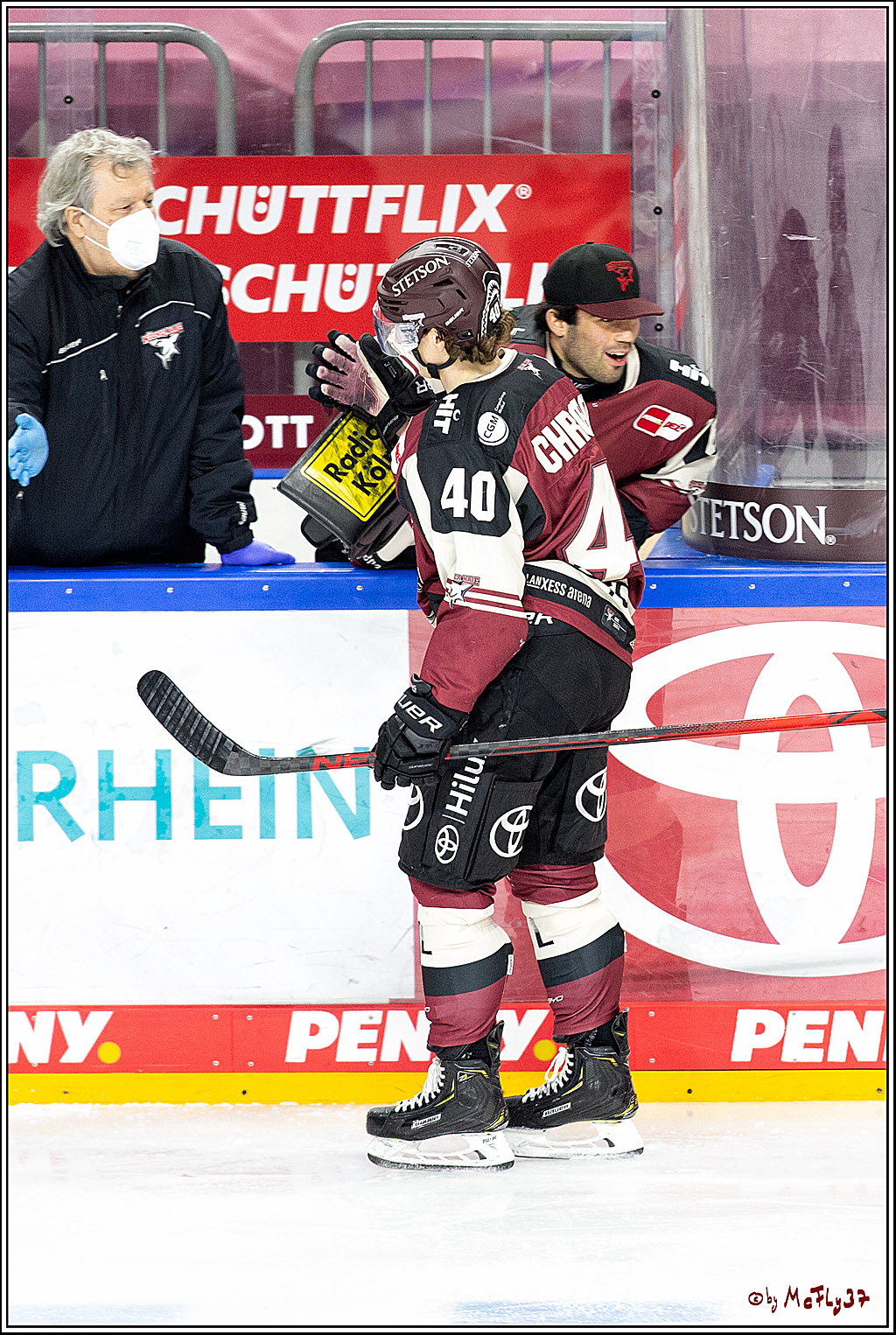 PENNY DEL;  Koelner Haie - Eisbaeren Berlin; Koeln, 19.02.2021